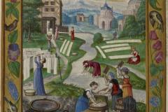 Trismosin_BLEnluminureSplendeur-Soleil_21