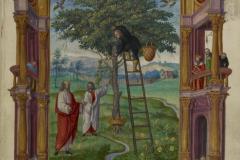 Trismosin_BLEnluminureSplendeur-Soleil_6