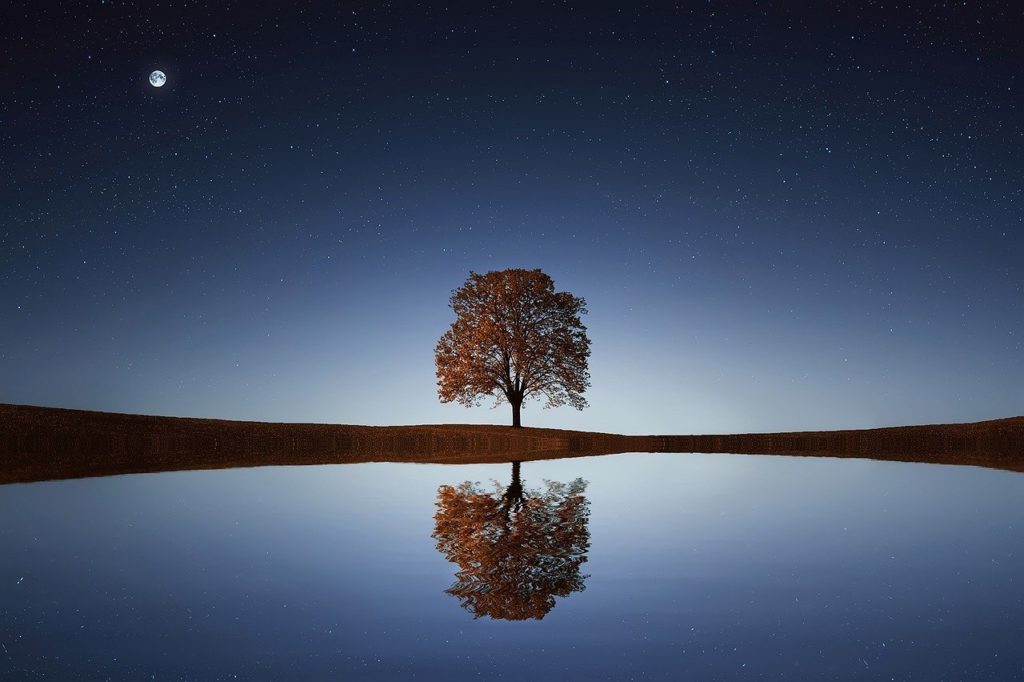 Cette image illustre parfaitement le reflet de l'arbre. Elle nous aide à visualiser les propos tenus du texte. Chaque compréhension symétrique par rapport à la terre est une initiation.