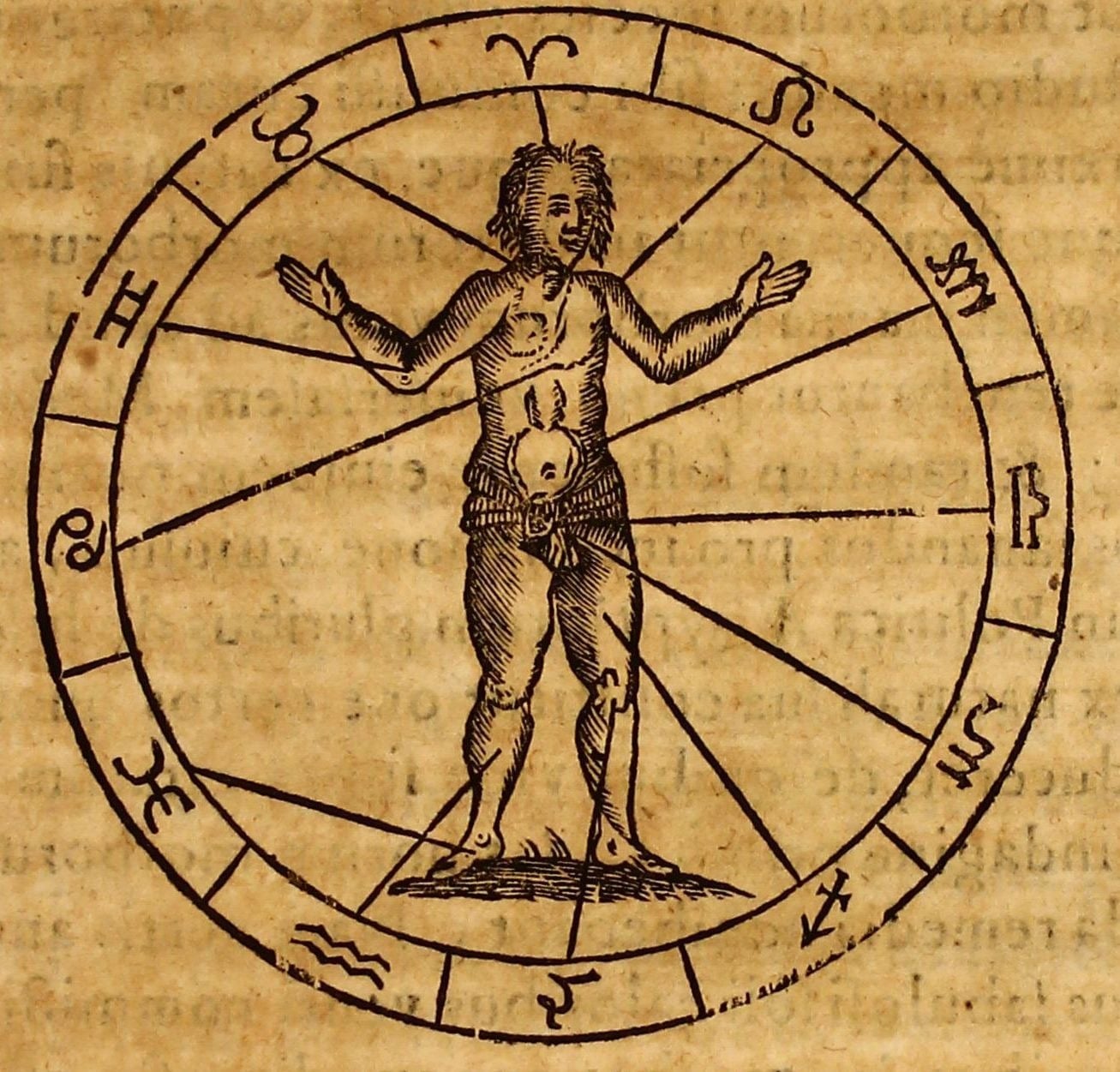 Gravure de Kircher : un homme nu dans une roue zodiacale, des lignes reliant chaque partie du corps à un signe du zodiaque
